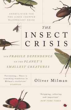 The Insect Crisis, Oliver Milman