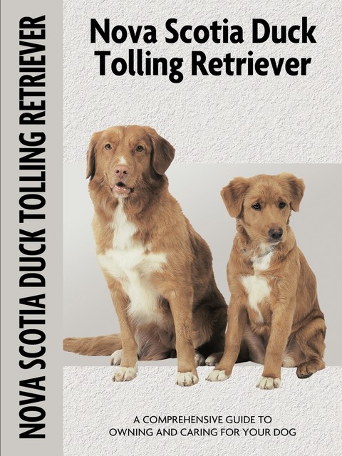 Nova Scotia Duck Tolling Retriever (Comprehensive Owner's Guide), Nona Kilgore Bauer