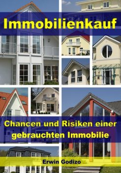 Immobilienkauf – Chancen und Risiken einer gebrauchten Immobilie, Erwin Godizo