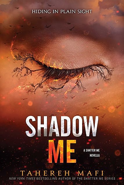 Shadow Me, Tahereh Mafi