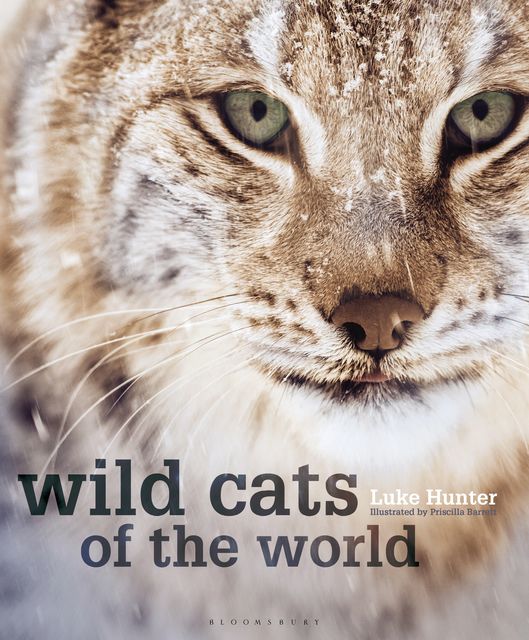 Wild Cats of the World, Luke Hunter