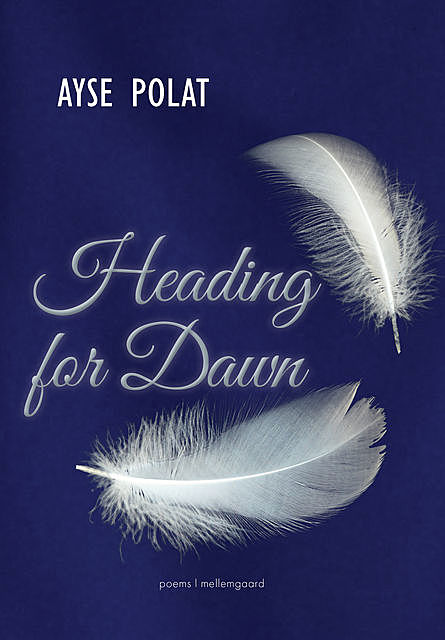 Heading for Dawn, Ayse Polat