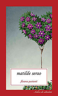Floarea pasiunii, Matilde Serao