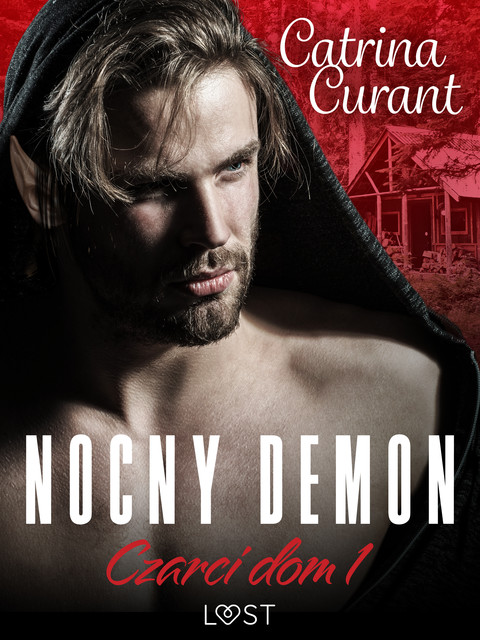 Czarci dom 1: Nocny demon – seria erotyczna, Catrina Curant