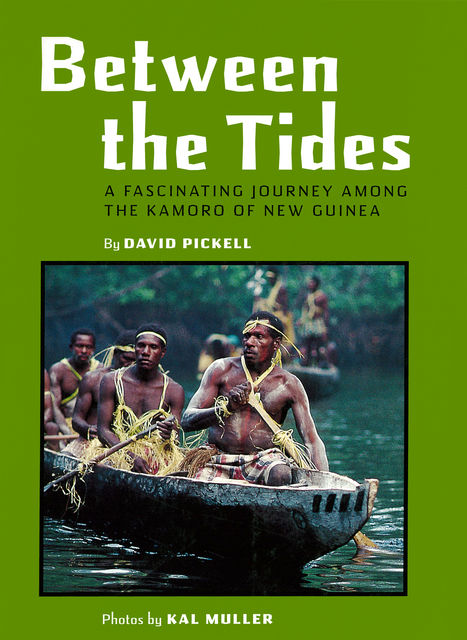 Between the Tides, David Pickell