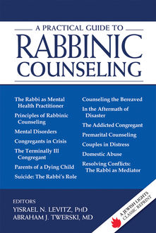 A Practical Guide to Rabbinic Counseling, Jan Nowee, Abraham J. Twerski, Edited by Yisrael N. Levitz