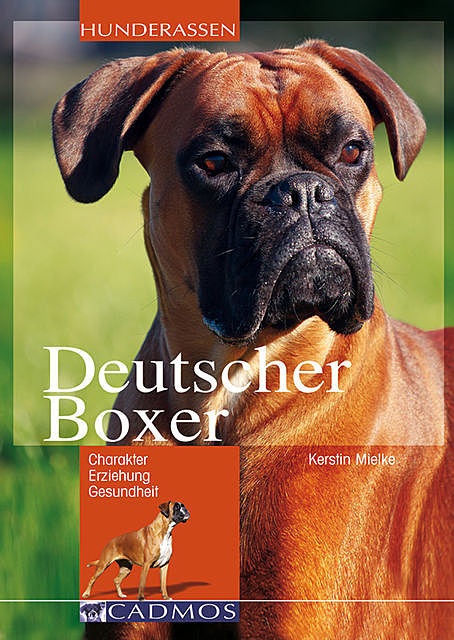 Deutscher Boxer, Kerstin Mielke