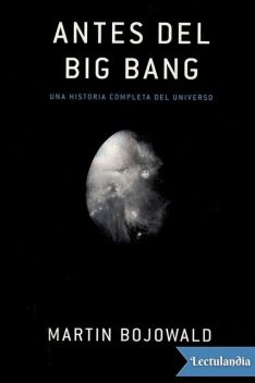 Antes del big bang, Martin Bojowald