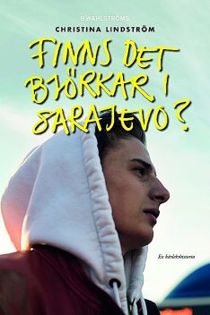 Finns det björkar i Sarajevo, Christina Lindström