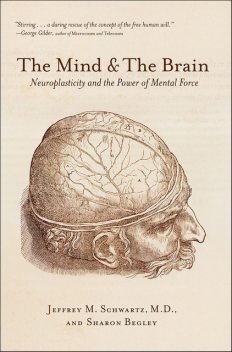 The Mind and the Brain, Jeffrey M.Schwartz, Sharon Begley