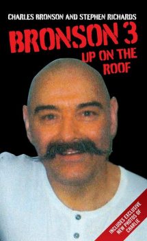 The Good Prison Guide - I've done more Porridge than Goldilocks - and now I'm going to tell you all about it, Stephen Richards, Charles Bronson