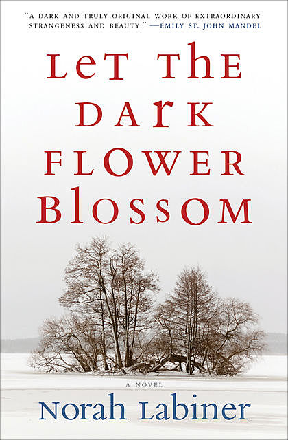 Let the Dark Flower Blossom, Norah Labiner