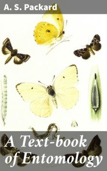 A Text-book of Entomology, A.S.Packard