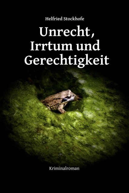 Unrecht, Irrtum und Gerechtigkeit, Helfried Stockhofe