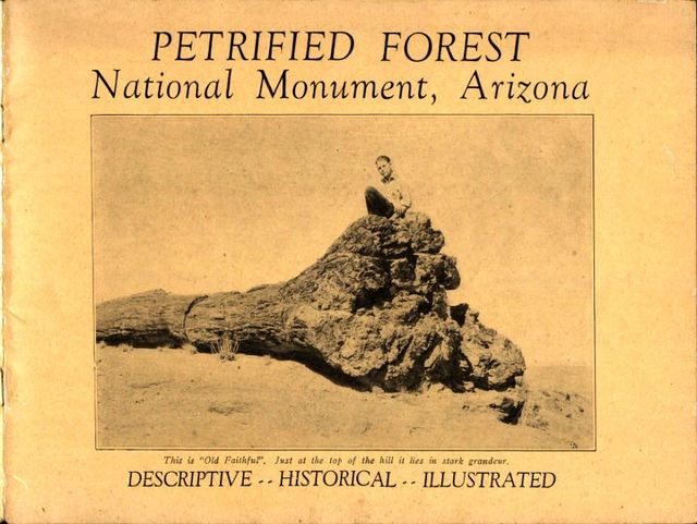 Petrified Forest National Monument, Arizona, Dama Margaret Smith