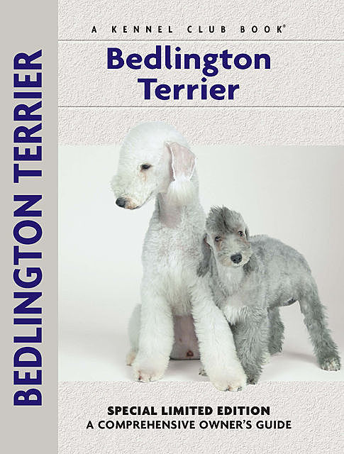 Bedlington Terrier, Muriel P. Lee