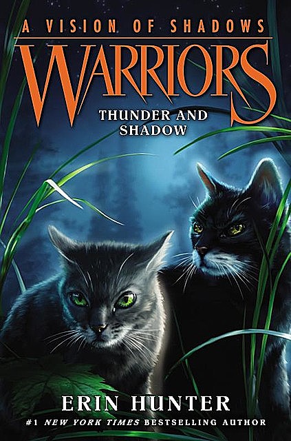 Warriors: A Vision of Shadows #2: Thunder and Shadow, Erin Hunter