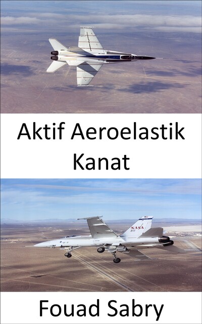 Aktif Aeroelastik Kanat, Fouad Sabry