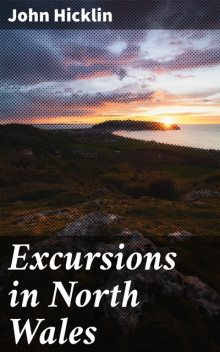 Excursions in North Wales, John Hicklin