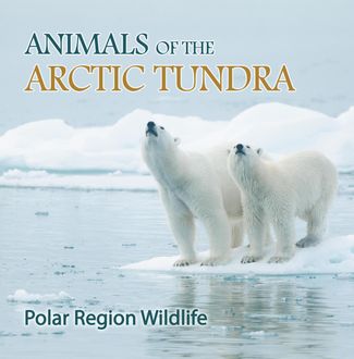 Animals of the Arctic Tundra: Polar Region Wildlife, Baby Professor