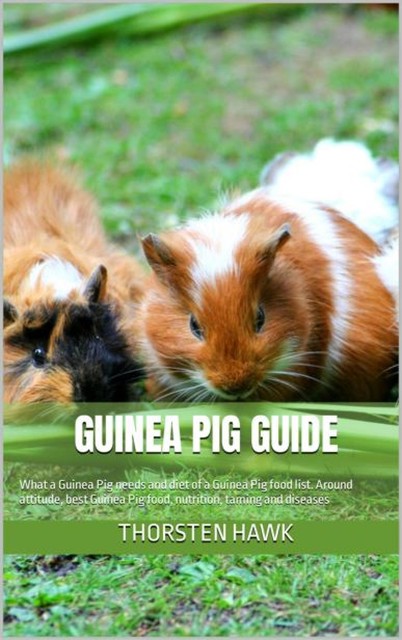 Guinea Pig Guide, Thorsten Hawk