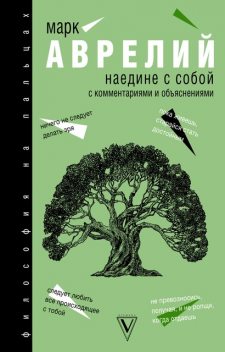 Наедине с собой. С комментариями и объяснениями, 