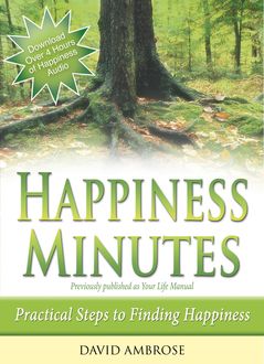 Happiness Minutes, David Ambrose