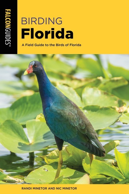 Birding Florida, Randi Minetor, Nic Minetor