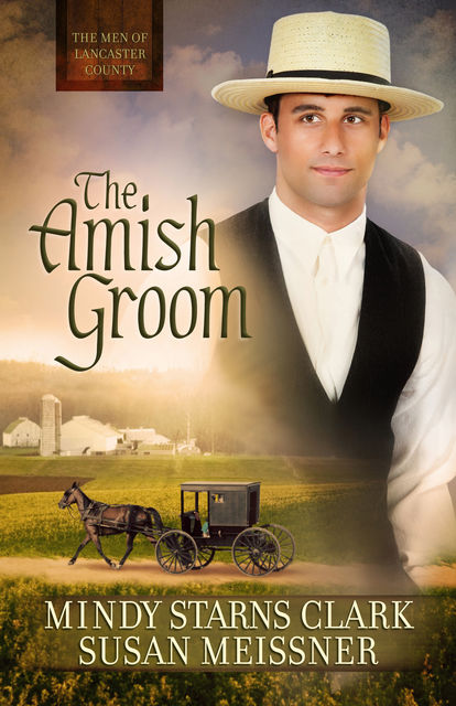 The Amish Groom, Mindy Starns Clark, Susan Meissner