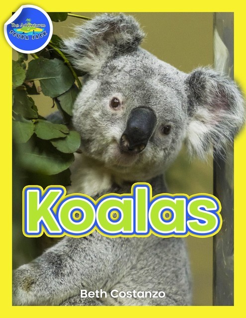 Koala Activity Workbook ages 4–8, Beth Costanzo