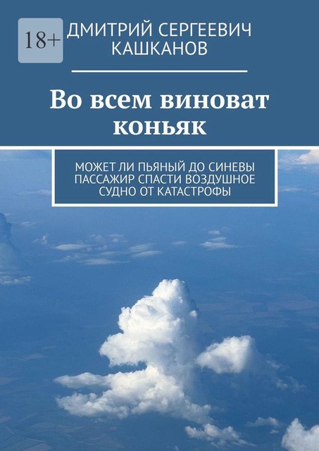 Во всем виноват коньяк. Может ли пьяный до синевы пассажир спасти воздушное судно от катастрофы, Дмитрий Кашканов