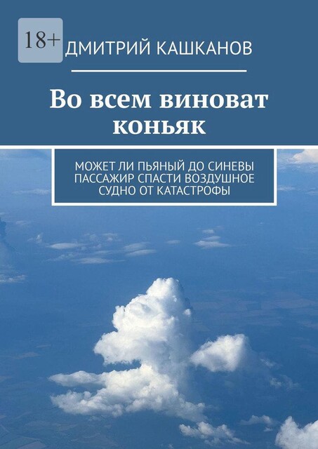 Во всем виноват коньяк. Может ли пьяный до синевы пассажир спасти воздушное судно от катастрофы, Дмитрий Кашканов