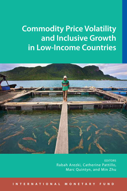 Commodity Price Volatility and Inclusive Growth in Low-Income Countries, Rabah Arezki
