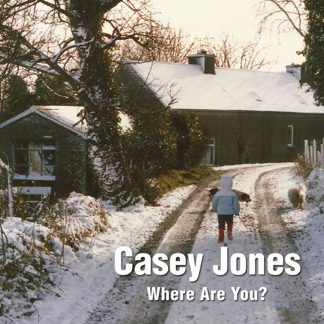 Casey Jones – Where Are You? A Winter Tale of a Lost Toy, Pat Preston