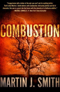 Combustion, Martin J. Smith