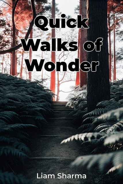 Quick Walks of Wonder, Liam Sharma