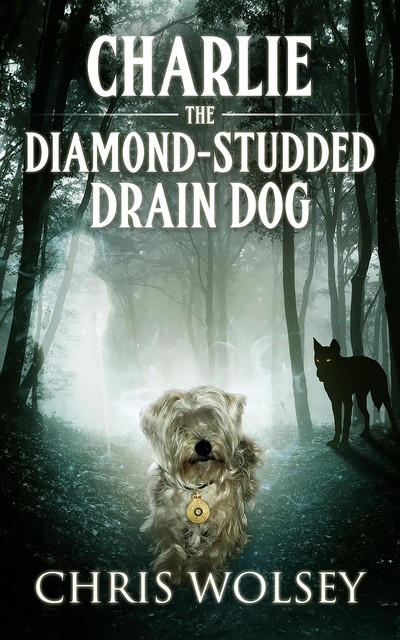 Charlie the Diamond-Studded Drain Dog, Chris Wolsey