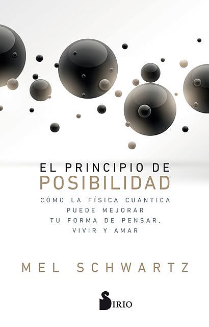 El principio de posibilidad, Mel Schwartz