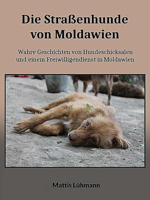 Die Straßenhunde von Moldawien, Mattis Lühmann