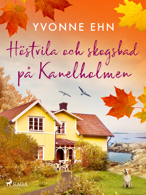 Höstvila och skogsbad på Kanelholmen, Yvonne Ehn