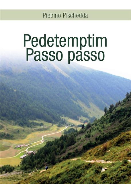 Pedetemptim – Passo passo, Pietrino Pischedda