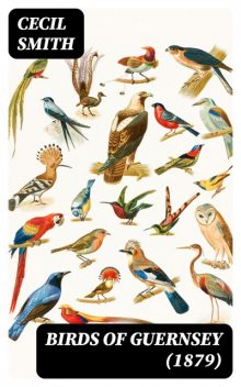 Birds of Guernsey, Cecil Smith