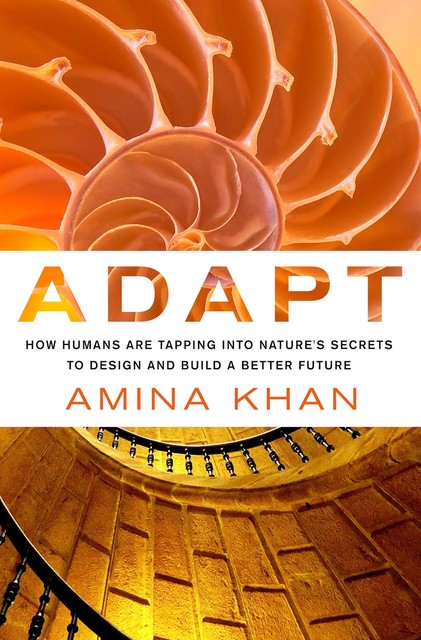 Adapt, Amina Khan