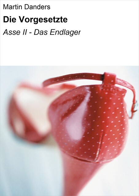 Die Vorgesetzte, Martin Danders