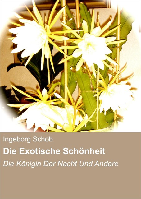 Die Exotische Schönheit, Ingeborg Schob