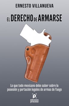 El derecho de Armarse, Ernesto Villanueva