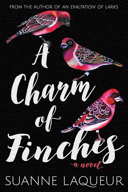 A Charm of Finches, Suanne Laqueur