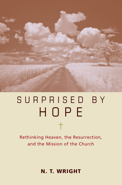 Surprised by Hope Participant's Guide, N.T.Wright