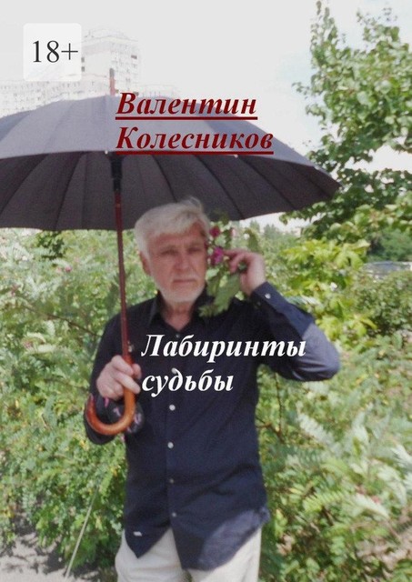 Лабиринты судьбы, Валентин Колесников