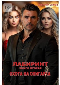 Лабиринт. Книга вторая. Охота на олигарха, Анатолий Спирин